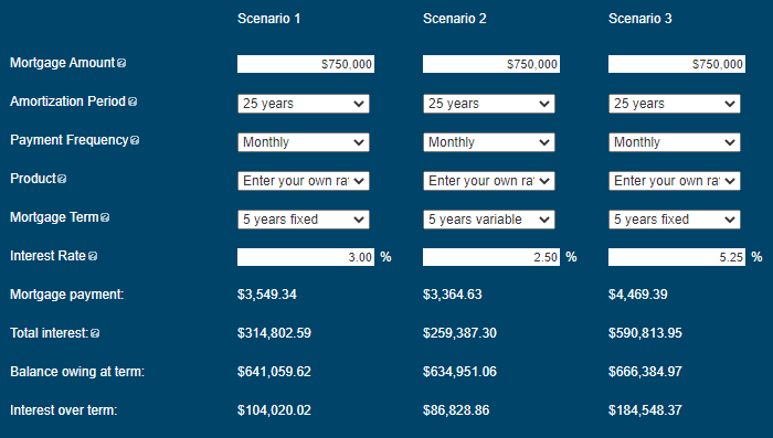 Fixedinterestrate_EF_example.png